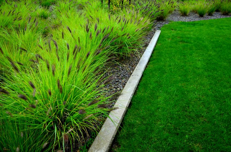 Lawn Curb Installation