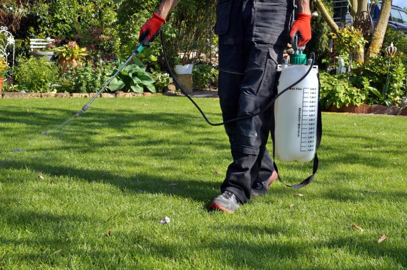 Lawn Erosion Control