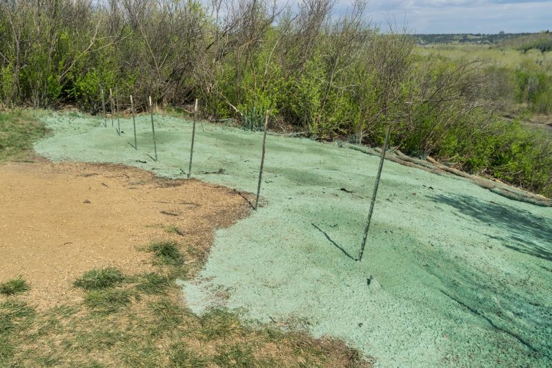 Lawn Erosion Control