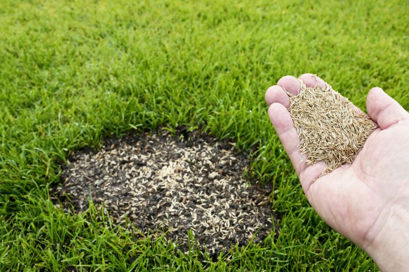 Lawn Erosion Repair