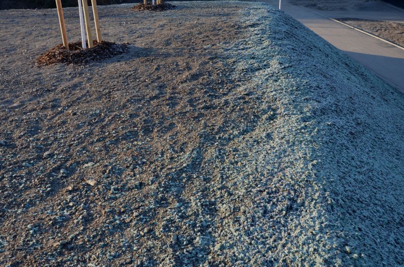 Lawn Erosion Repair