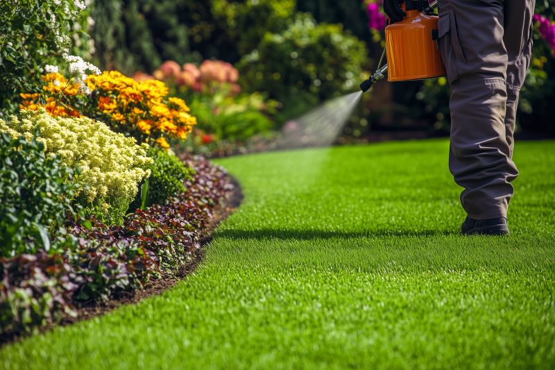 Lawn Repair Service