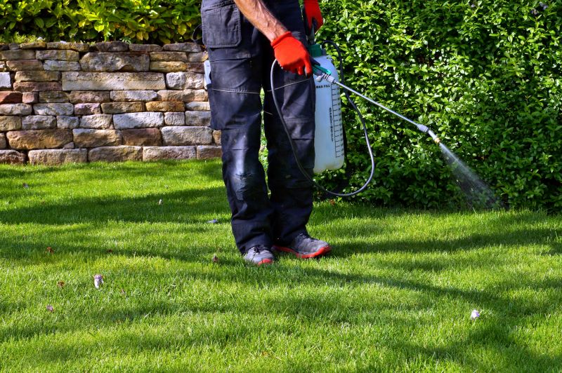 Lawn Weeding