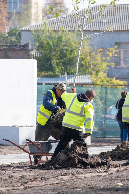 Oak Tree Planting