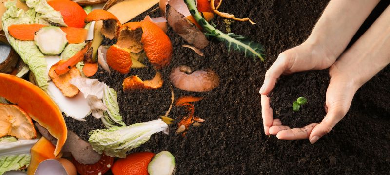 Organic Mulch Installation