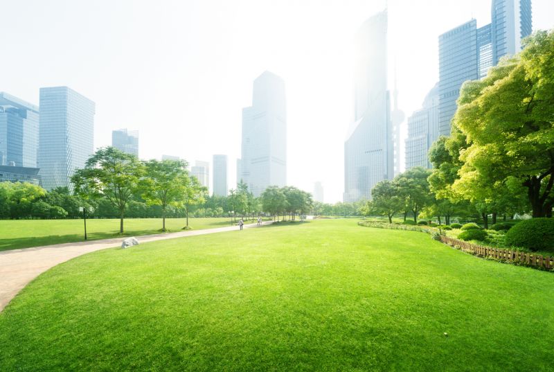 Park Landscape Maintenance