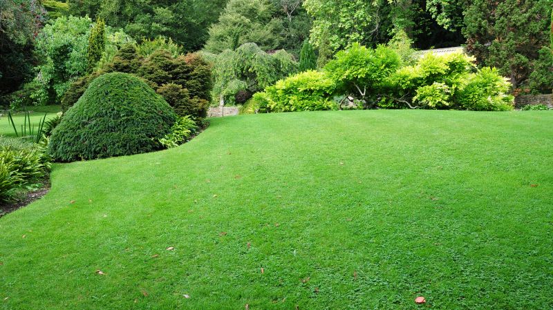 Park Landscape Maintenance