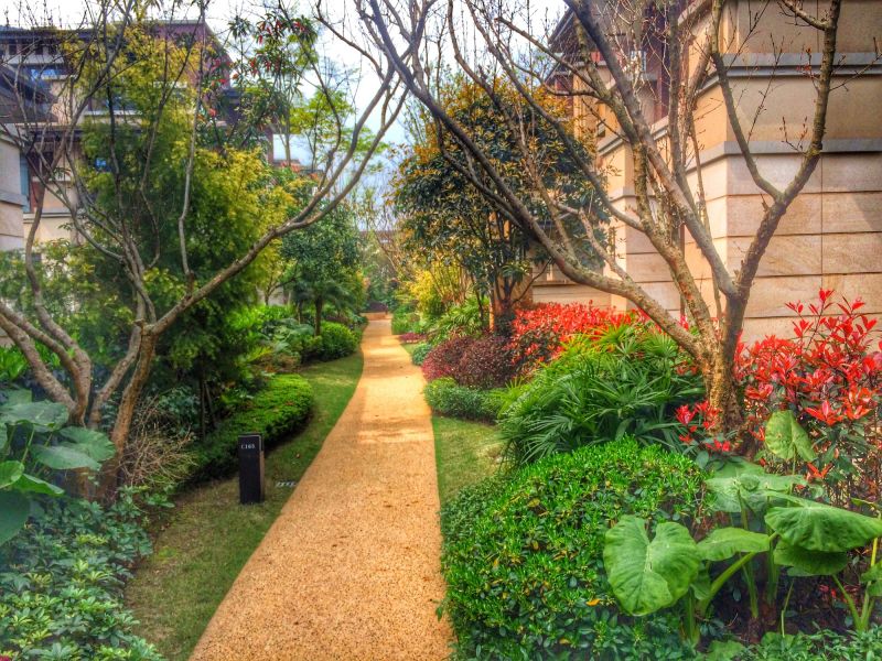 Pathway Landscaping