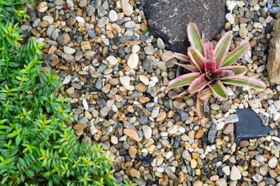 Pea Gravel Landscaping