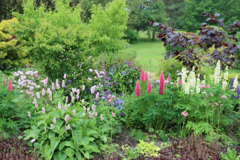 Perennial Landscaping