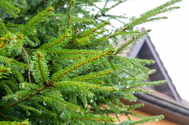Pine Bark Installation