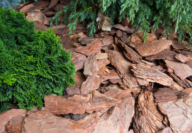 Pine Bark Spreading