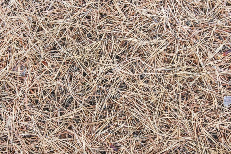 Pine Mulch Installation