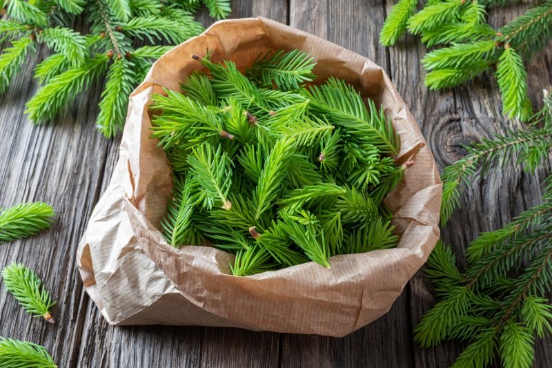 Pine Needles Installation