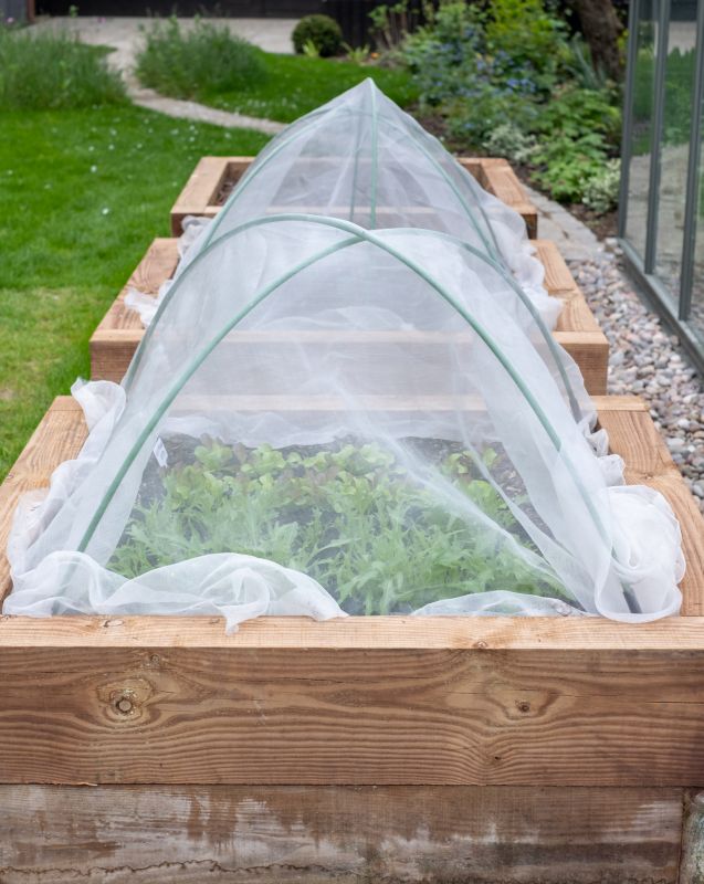 Plant Bed Weeding