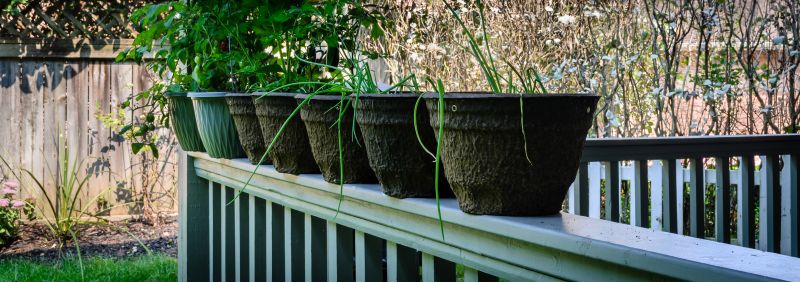 Plant Replacement