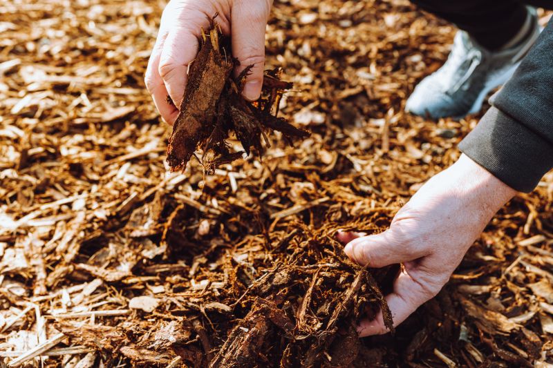 Playground Mulch Removal