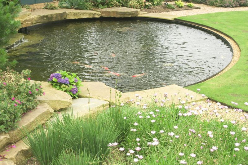 Pond Landscaping Service