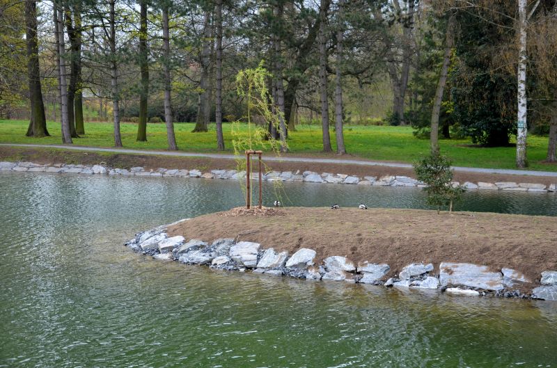 Pond Landscaping Service