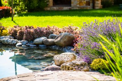 Pond Landscaping Service