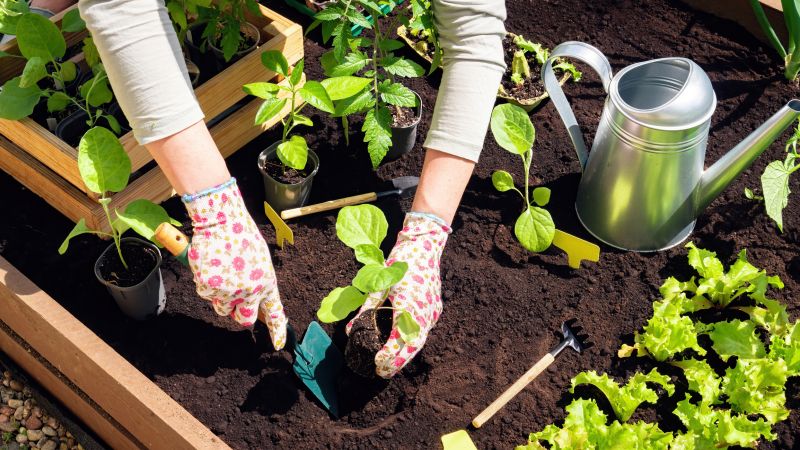 Raised Flower Bed Installation