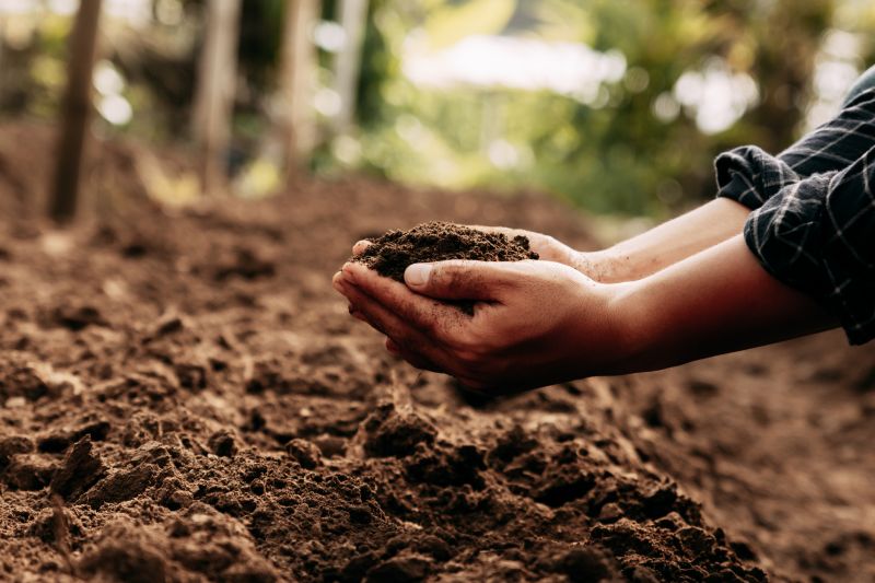 Rich Soil Delivery
