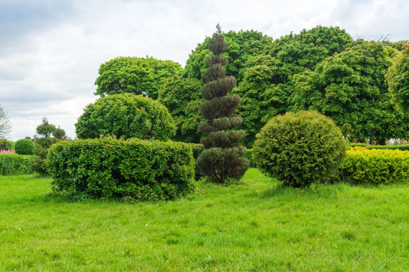 Shrub Planting Service