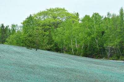 Sloped Yard Landscaping