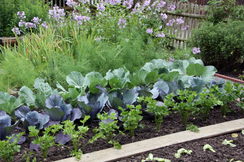 Small Garden Landscaping