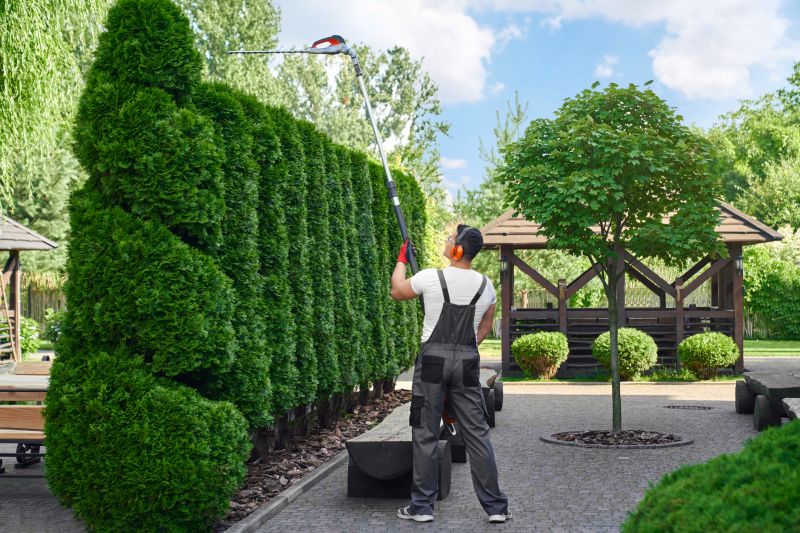 Softscaping Service