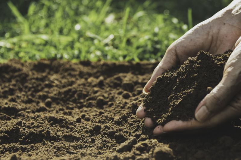 Soil Erosion Repair