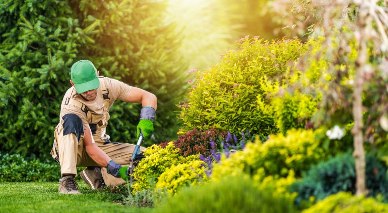 Spring Garden Maintenance