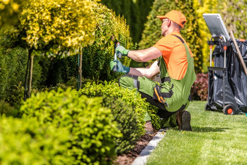 Spring Garden Maintenance
