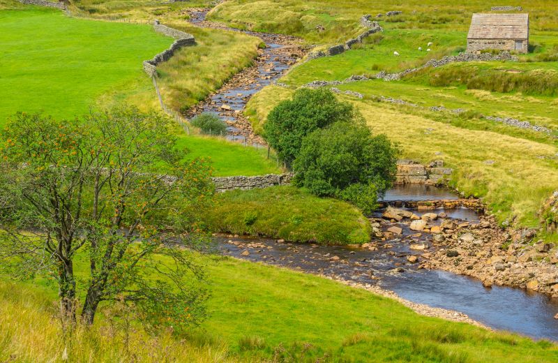Swale Landscaping