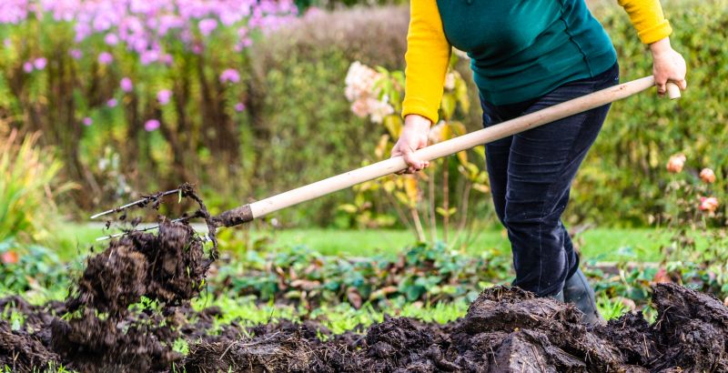 Topsoil Service