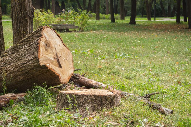 Tree Bark Delivery