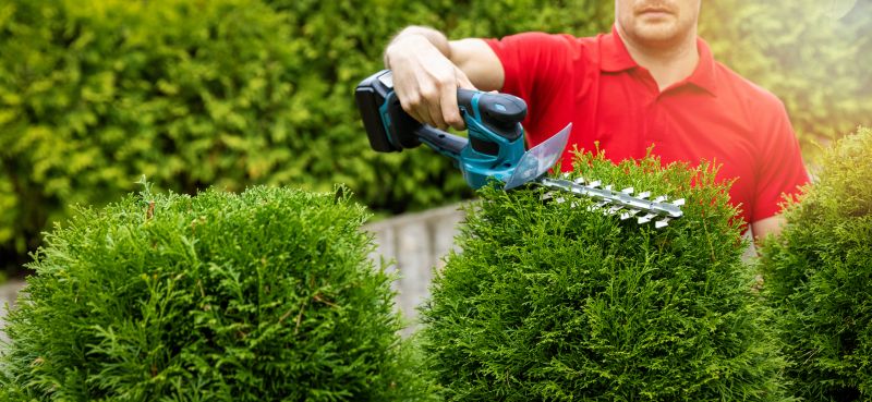 Tree Edging Installation