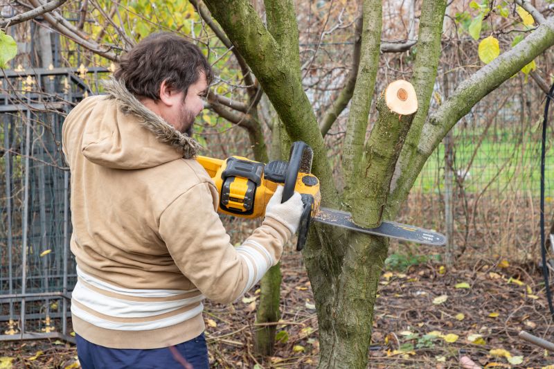 Tree Installation Service