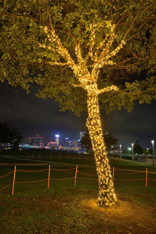 Tree Installation Service