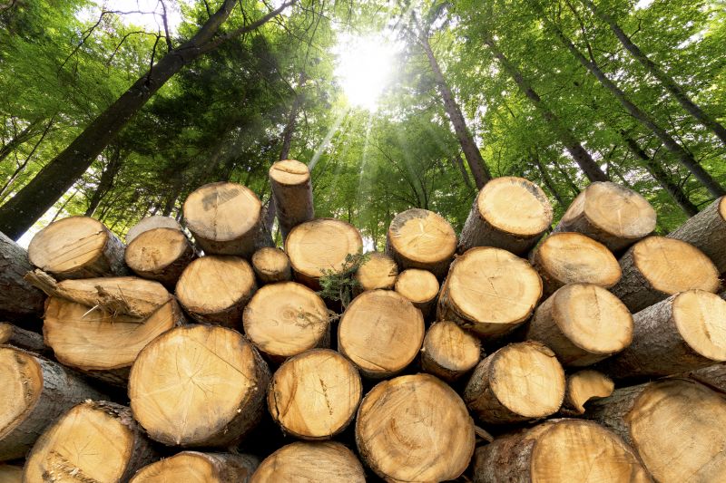 Tree Staking Service
