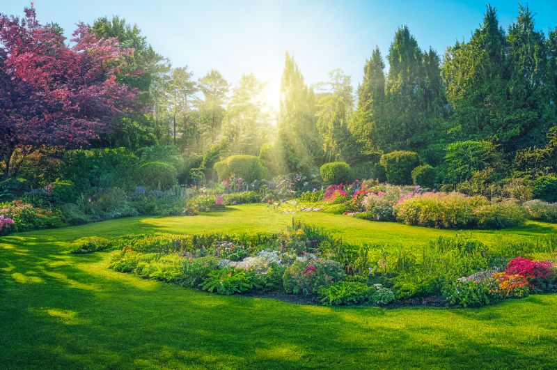 Tropical Landscaping