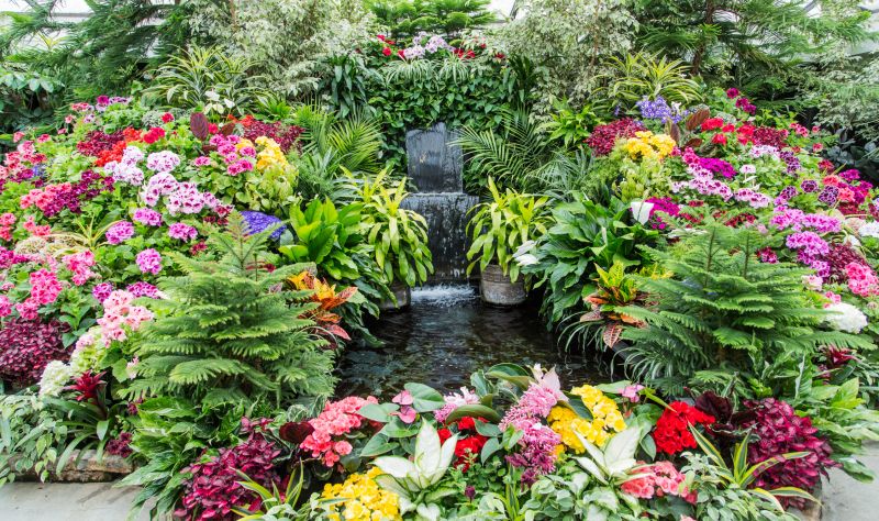 Waterfall Landscaping