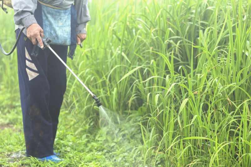 Weed Suppressant Installation