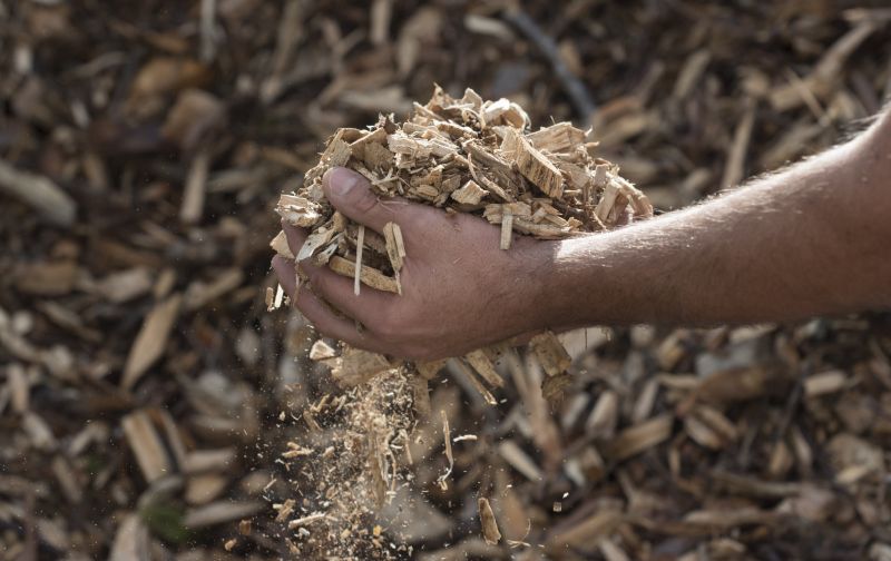 Wood Chips Removal