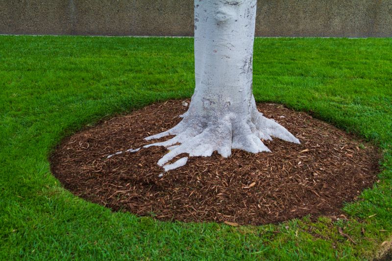Wood Mulch Installation