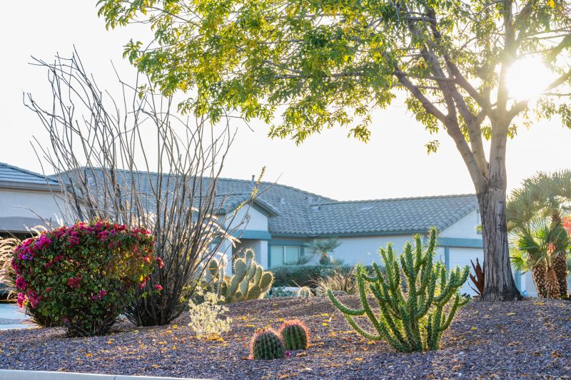 Xeriscape Landscaping