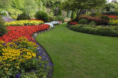 Xeriscaping Service
