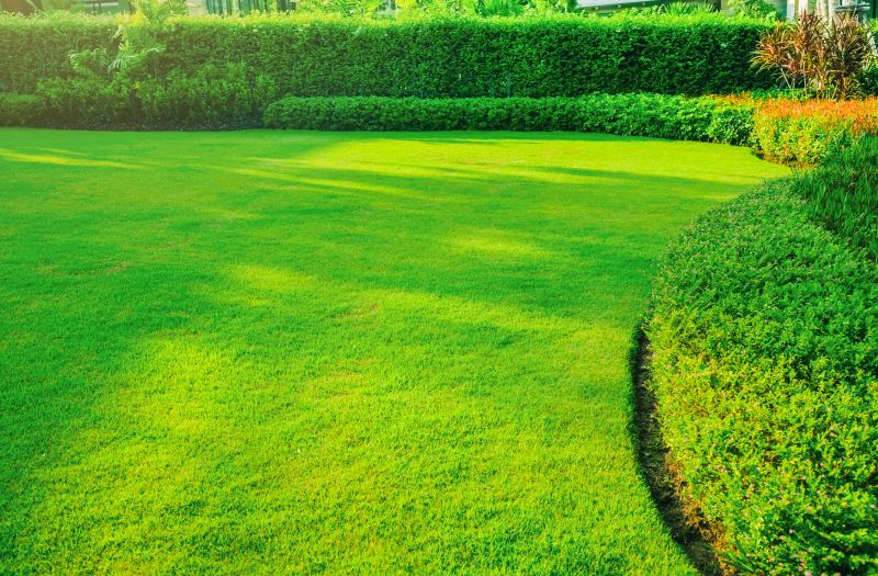 Xeriscaping Service