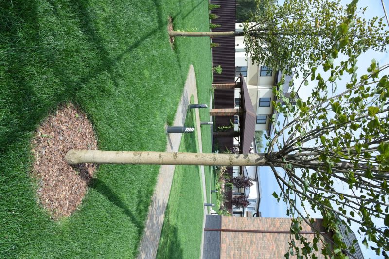 Yard Construction