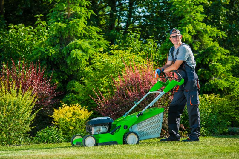 Yard Landscaping Service